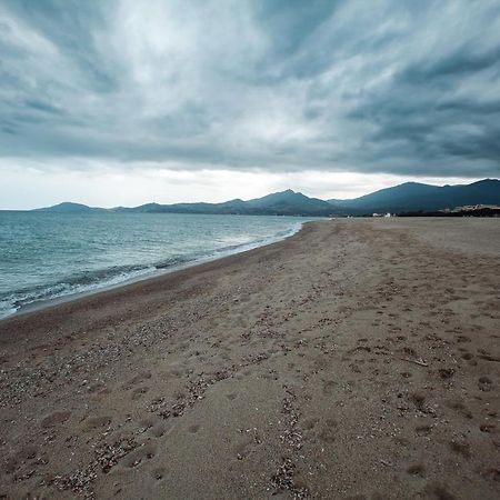 Studio Les Pieds Dans L'Eau Argeles Sur Mer 외부 사진