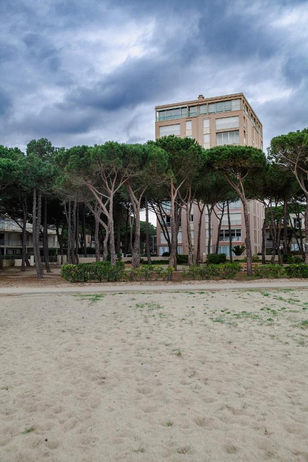 Studio Les Pieds Dans L'Eau Argeles Sur Mer 외부 사진