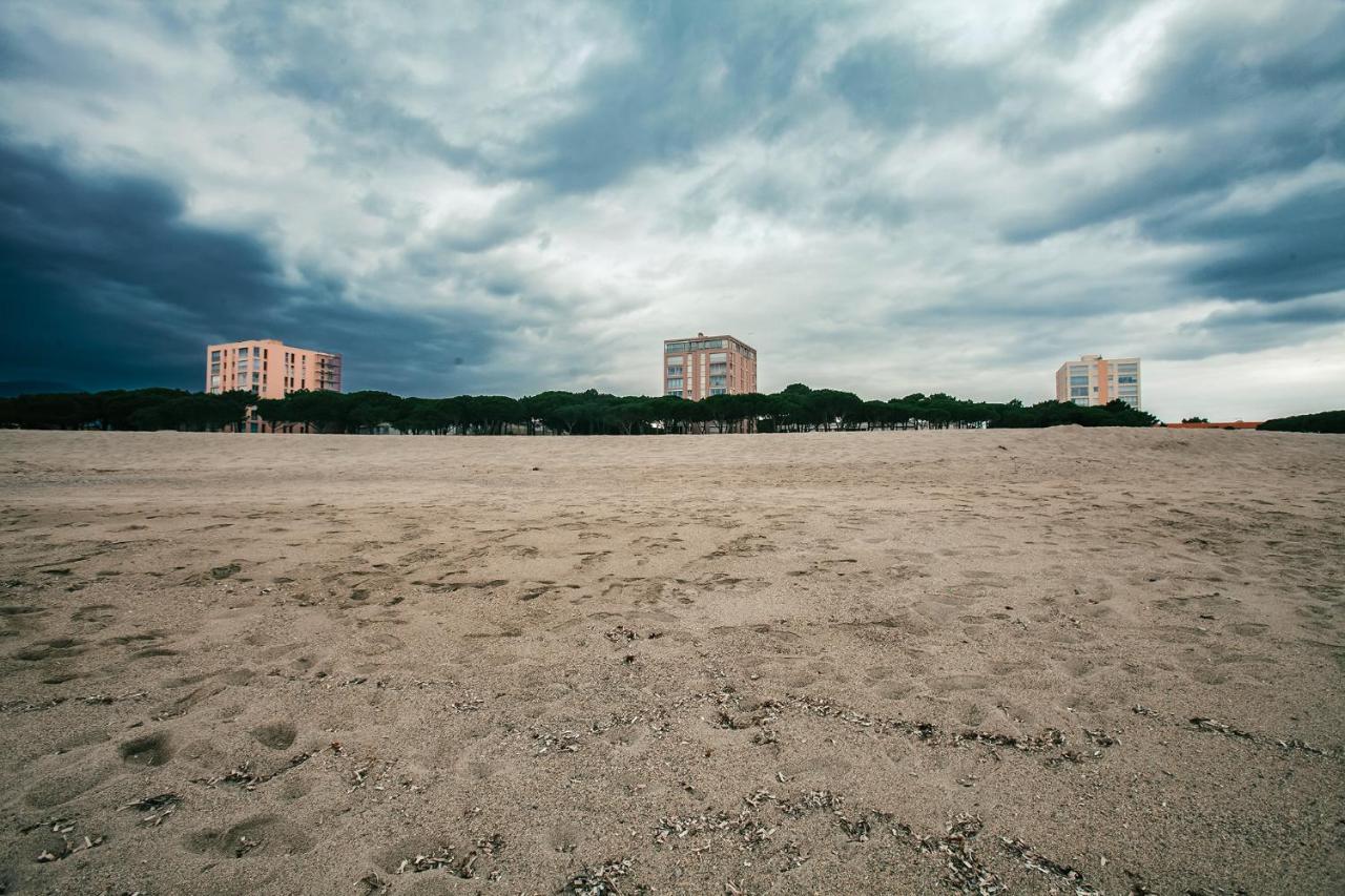 Studio Les Pieds Dans L'Eau Argeles Sur Mer 외부 사진